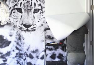 Animal Print Wall Murals Snow Leopard Wallpaper Mural Diy