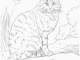 Animal Printable Coloring Pages Printable Animal Coloring Pages Printable Animal Coloring Pages Best