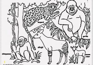 Animals In the Jungle Coloring Pages 11 Pics Jungle theme Coloring Pages Gecko Animals