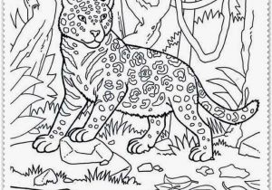 Animals In the Jungle Coloring Pages Jungle Animals Coloring Pages Free Coloring Home