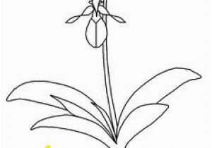 Anne Of Green Gables Coloring Pages 70 Best Anne Of Green Gables Enrichment Activities Images On