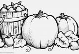 Apple Coloring Pages for Adults Pretty Coloring Pages Printable Preschool Coloring Pages Fresh Fall