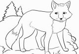 Arctic Animal Coloring Pages 20 Unique Arctic Fox Coloring Page
