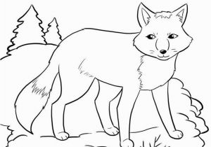 Arctic Animal Coloring Pages 20 Unique Arctic Fox Coloring Page