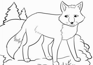 Arctic Animal Coloring Pages 20 Unique Arctic Fox Coloring Page