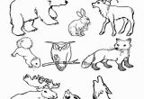 Arctic Animal Coloring Pages Arctic Animals Colouring Pages Polar Animals Coloring Pages Bell