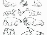 Arctic Animal Coloring Pages Free Printable Arctic Animals Coloring Pages Farm Animal Flowers In