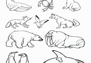 Arctic Animal Coloring Pages Free Printable Arctic Animals Coloring Pages Farm Animal Flowers In