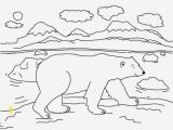 Arctic Animal Coloring Pages Printable Arctic Animal Coloring Pages Fresh Polar Bear Cute Drawing