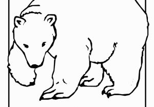 Arctic Animal Coloring Pages top 75 Polar Bear Coloring Pages Free Coloring Page