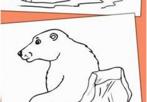 Arctic Animals Coloring Pages 197 Best Eskimos and Polar Animals Images On Pinterest In 2018