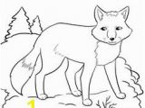 Arctic Animals Coloring Pages 348 Best Arctic Polar Images On Pinterest In 2018