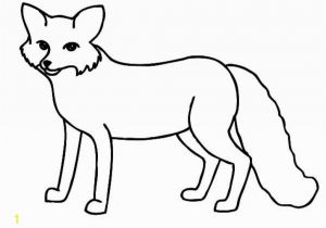 Arctic Animals Coloring Pages Fox Coloring Pages