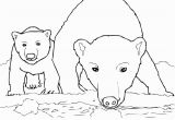 Arctic Animals Coloring Pages Polar Bear Coloring Pages Sample thephotosync