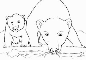 Arctic Animals Coloring Pages Polar Bear Coloring Pages Sample thephotosync