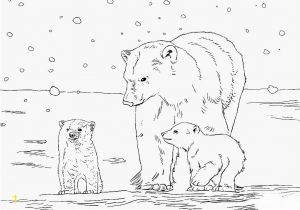 Arctic Animals for Kids Coloring Pages Baby Polar Bear Coloring Pages Printable Polar Bear