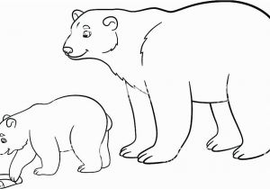 Arctic Animals for Kids Coloring Pages Coloring Pages Teddy Bears – Siirthaberfo