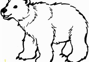 Arctic Animals for Kids Coloring Pages Polar Bear Coloring Pages Printable Polar Bear Coloring