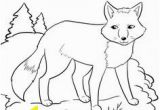 Arctic Fox Coloring Pages 97 Best Arctic Fox Images On Pinterest