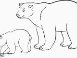 Arctic Fox Coloring Pages Arctic Fox Coloring Pages Elegant 27 Polar Bear Coloring Page – Best