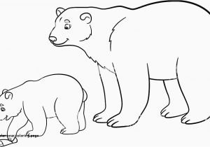 Arctic Fox Coloring Pages Arctic Fox Coloring Pages Elegant 27 Polar Bear Coloring Page – Best