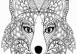 Arctic Fox Coloring Pages Coloring Page Beutiful Fox Head Free to Print