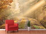 Argos Wall Mural forest Wall Murals