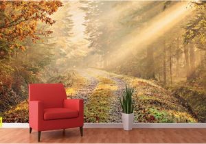 Argos Wall Mural forest Wall Murals