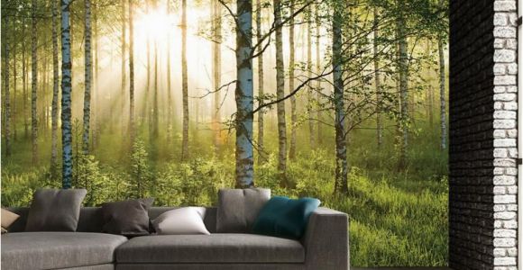 Argos Wall Murals 1 Wall forest Giant Mural Sportpursuit