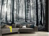 Argos Wall Murals 42 Best Max Bedroom Images