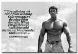 Arnold Schwarzenegger Wall Mural Nicoleshenting Arnold Schwarzenegger Motivational Quote Art Silk