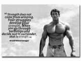 Arnold Schwarzenegger Wall Mural Nicoleshenting Arnold Schwarzenegger Motivational Quote Art Silk