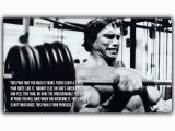 Arnold Schwarzenegger Wall Mural Nicoleshenting Arnold Schwarzenegger Motivational Quote Art Silk