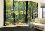 Art Fever Wall Murals Enchanted forest Huge Wall Mural Poster Print Wall Mural