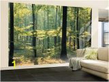 Art Fever Wall Murals Enchanted forest Huge Wall Mural Poster Print Wall Mural