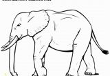 Asian Elephant Coloring Page asian Elephant Coloring Page Jenny at Dapperhouse