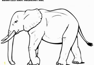 Asian Elephant Coloring Page asian Elephant Coloring Page Jenny at Dapperhouse