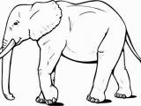 Asian Elephant Coloring Page Coloring Pages Elephants