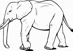 Asian Elephant Coloring Page Coloring Pages Elephants