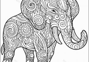 Asian Elephant Coloring Page Indian Elephants Coloring Pages Indian Elephant Coloring Pages