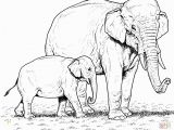 Asian Elephant Coloring Page Indian Elephants Coloring Pages Indian Elephant Coloring Pages