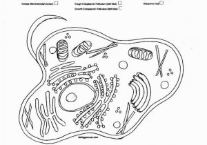 Ask A Biologist Coloring Page 56 Most Exceptional Biology Corner Plant Cell Color Pages