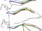 Ask A Biologist Coloring Page Bat Wing Bones