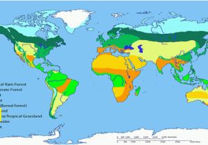 Ask A Biologist Coloring Page Biomes Of the World ask A Biologist