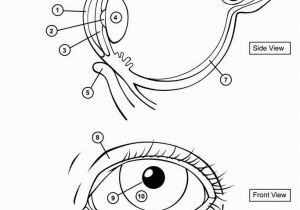 Ask A Biologist Coloring Page these Two Obviously Don T See Eye to Eye