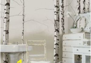 Aspen Tree Wall Mural 145 Best Tree Murals Images