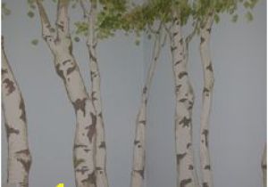 Aspen Tree Wall Mural 16 Best aspen Mural Images