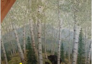 Aspen Tree Wall Mural 16 Best aspen Mural Images