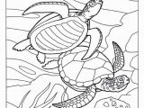 Australian Outback Coloring Pages Ocean Animals Coloring Pages Under the Ocean Drawing at Getdrawings