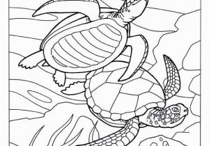 Australian Outback Coloring Pages Ocean Animals Coloring Pages Under the Ocean Drawing at Getdrawings